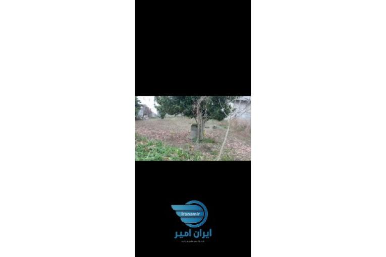 زمین مسکونی در اطراف لنگرود