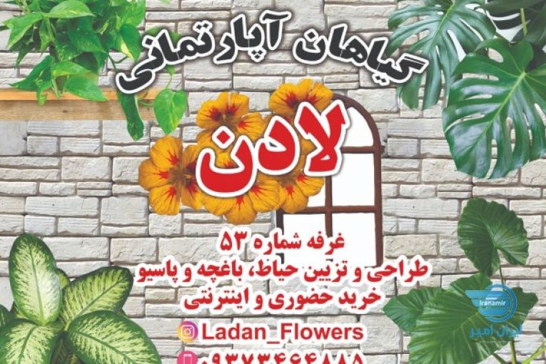 فروش انواع گیاه آپارتمانی