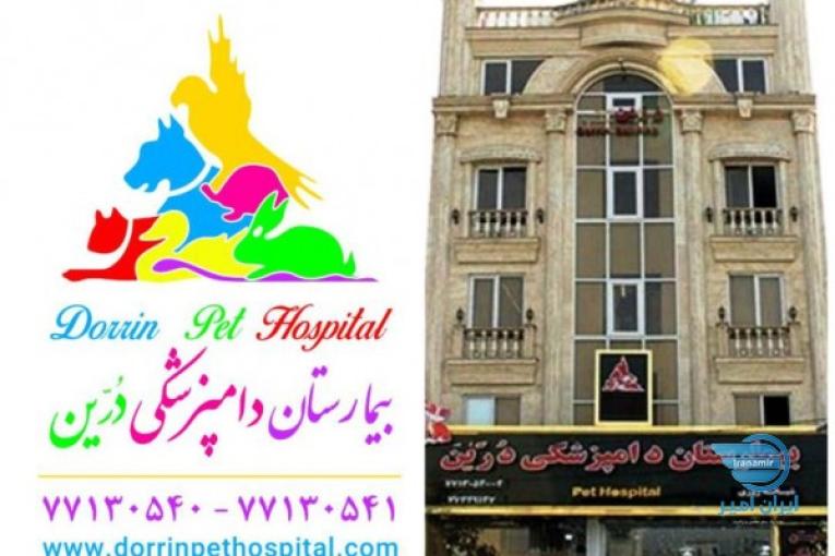 بیمارستان دامپزشکی و پت شاپ شبانه روزی حیوانات خانگی و پرندگان درین