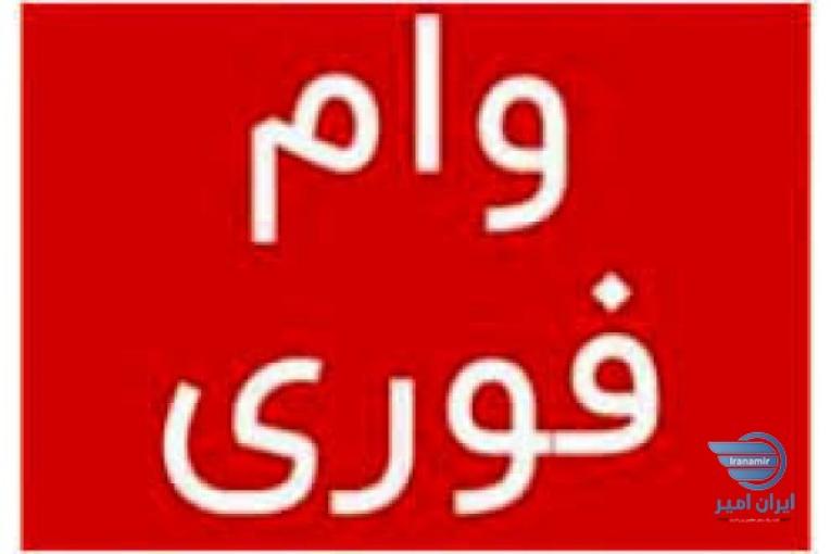 پرداخت وام و سرمایه آزاد با ارائه مدرک ضمانت پرداخت  و پرداخت خسارت از سوی سرمایه گذار 