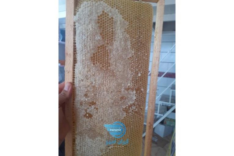 فروش  انواع عسل طبیعی به قیمت عمده