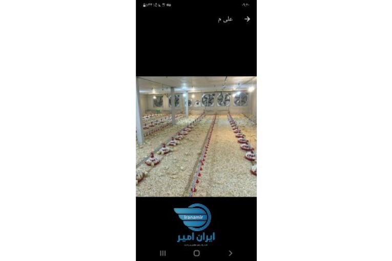 تجهیزات مرغداری گوشتی و تخمگذار آرکا طیور