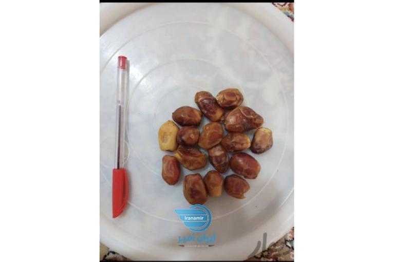 خرما زاهدي كيلويي ١٩/٥٠٠