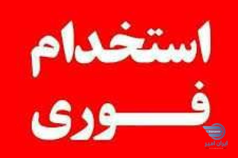 کارخانه دستمال کاغذی