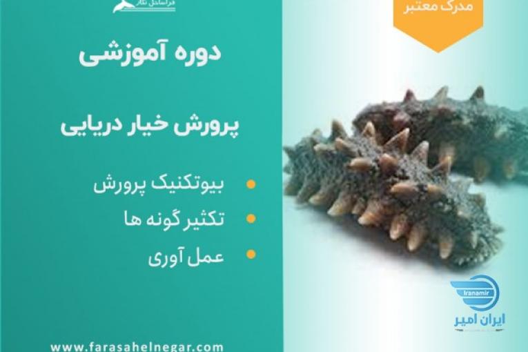 دوره آموزشی پرورش و تکثیر خیار دریایی و صادرات