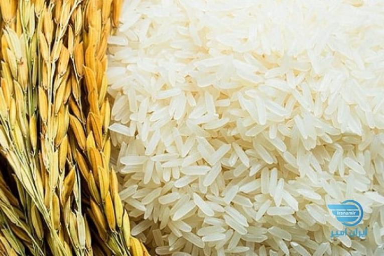 فروش برنج ایرانی در ساوه