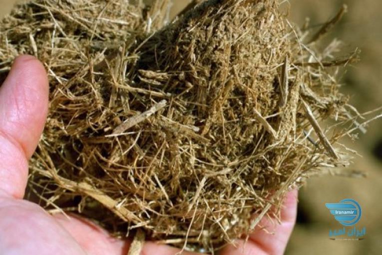 فروش باگاس تفاله نیشکر و خوراک دام