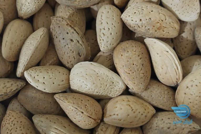 بادام درختی سنگی درشت