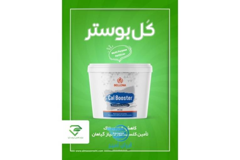 کل بوستر الماس سرشت آریا