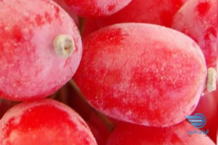 فروش عمده زرشک و ارسال به سراسر ایران