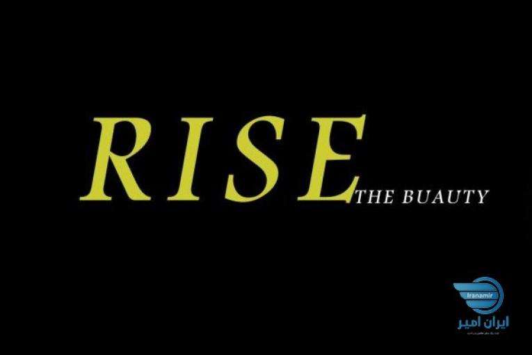 آلبوم کاغذ دیواری رایس RISE