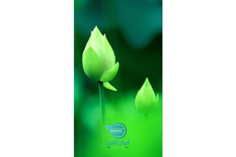 نیازمند کمک.لطفا توضیحات رو بخوانید