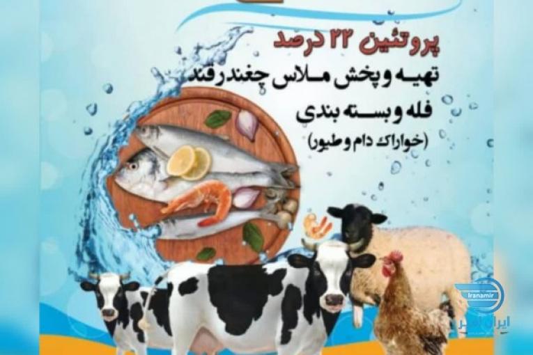تهیه پخش وفروش ملاس چغندر قند