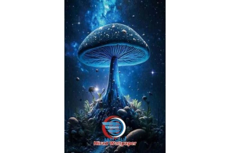 آلبوم کاغذ دیواری ماشروم MUSHROOM