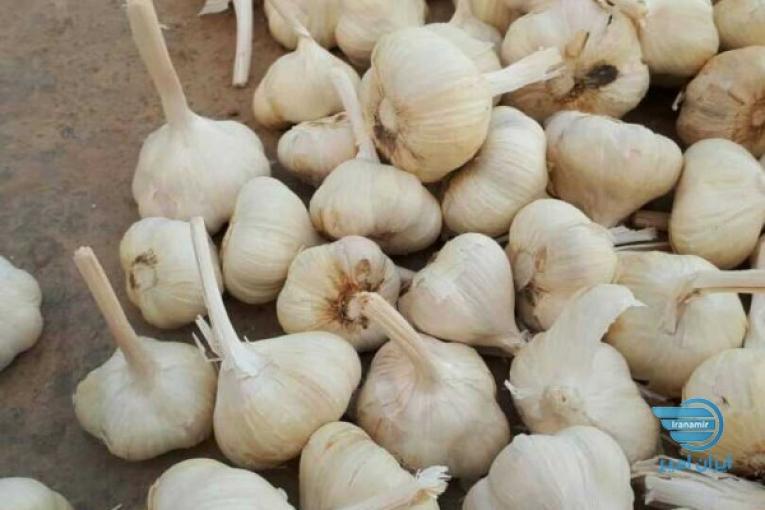 سیر موسیر و خلال