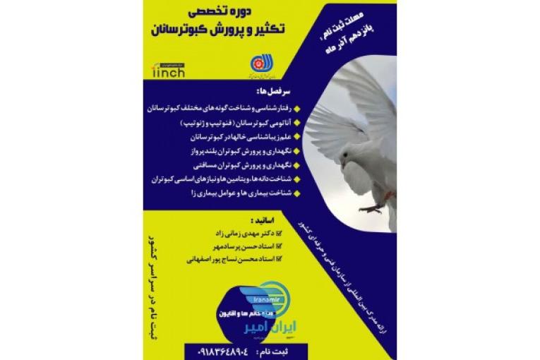آموزش ورزش کبوتران مسافتی