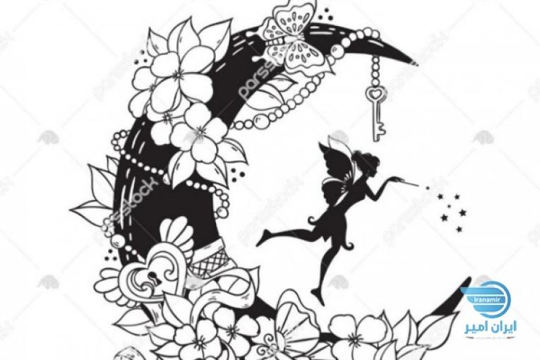 ادمین اینستاگرام 
