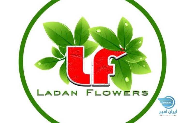 فروش انواع گیاه آپارتمانی