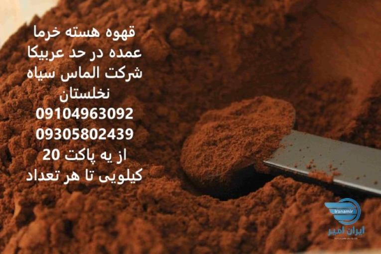 پودر قهوه هسته خرما عمده درحد عربیکا