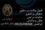 وکیل دادگستری>