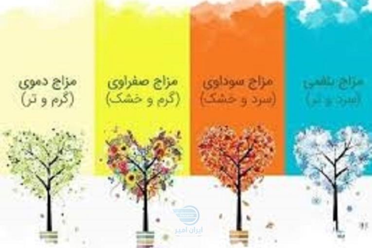 اموزش حرفه ای و اصولی مزاج شناسی