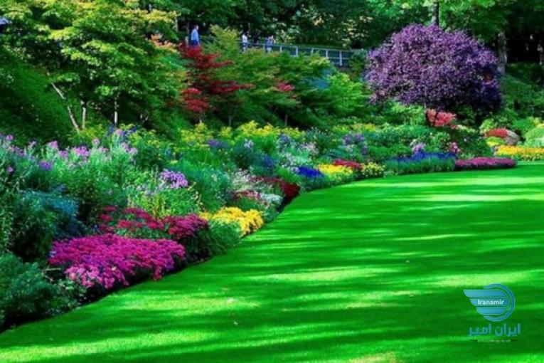 آلاچیق و فضای سبز 
