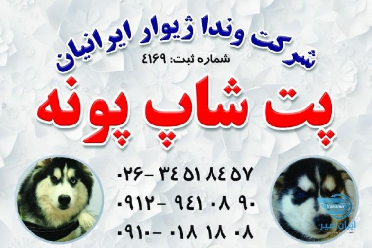 کلینیک دامپزشکی و پت شاپ پونه 