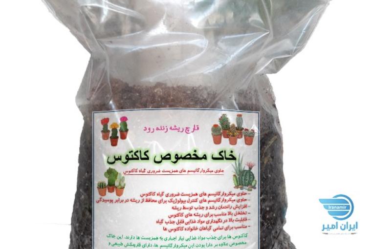 خاک کاکتوس مایکوریزدار بهداشتی