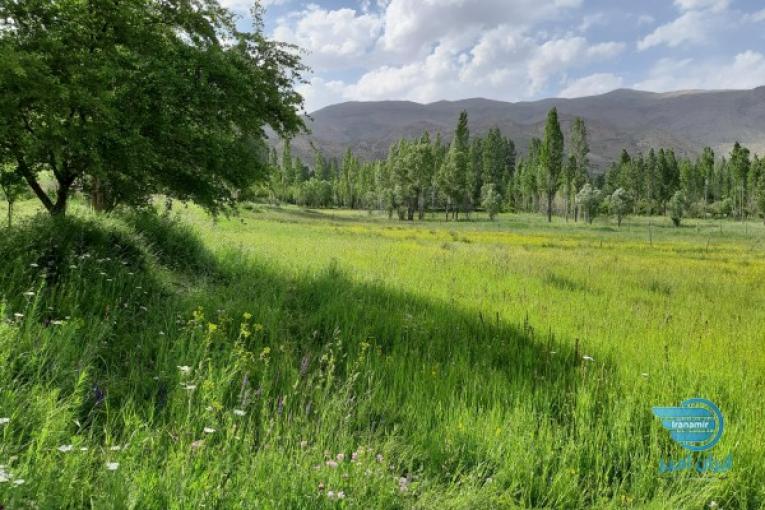 زمین 2300متری در بهترین نقطه استان تهران