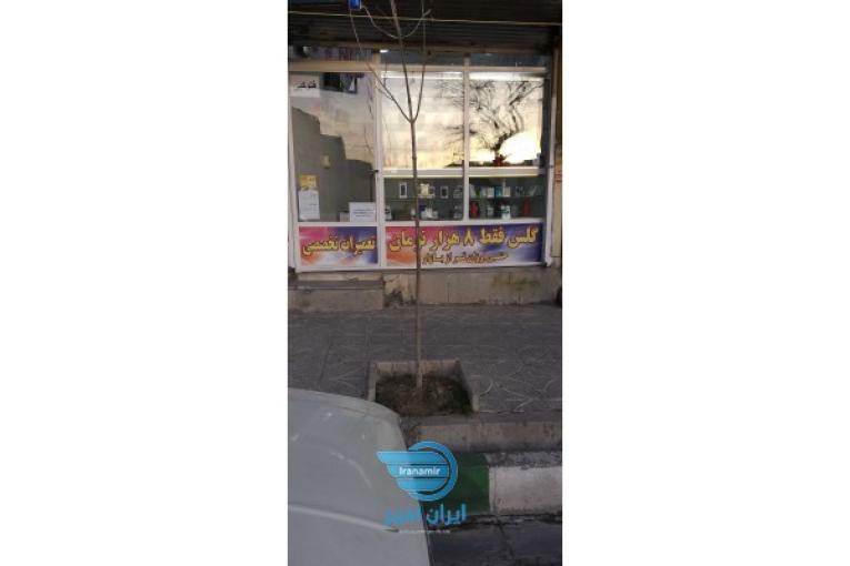 تعمیرات تخصصی موبایل و تبلت