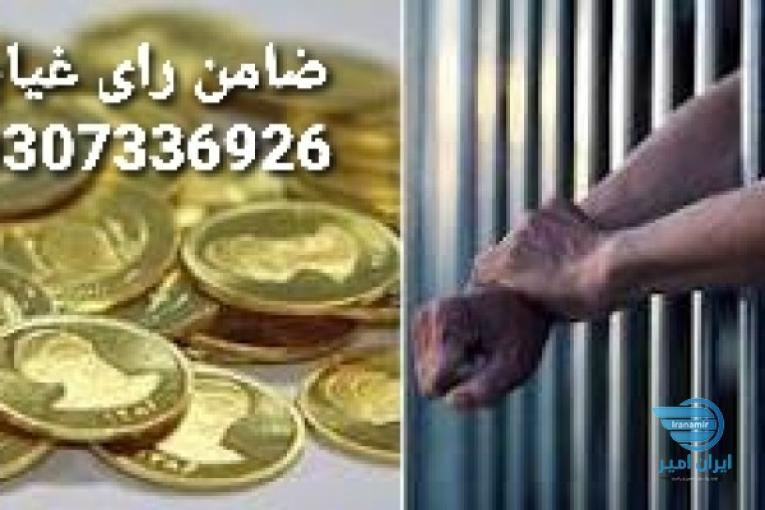 فیش حقوقی اجاره ای/اجاره فیش حقوقی /ضامن کارمند بافیش حقوقی