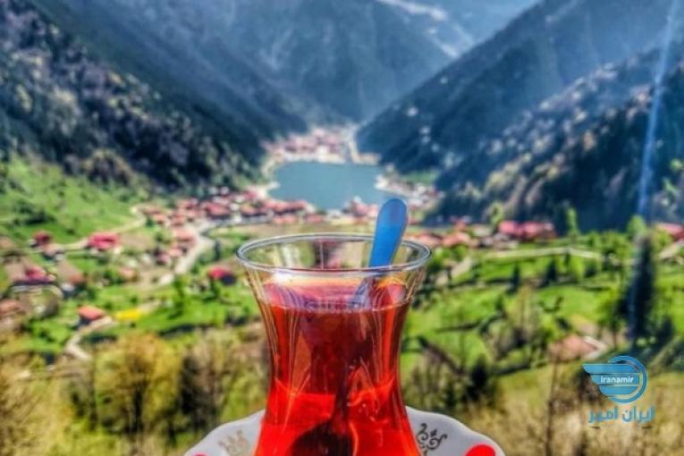 چای اعلای گیلان 
