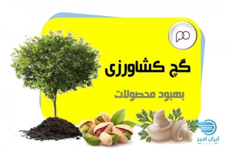 گچ کشاورزی