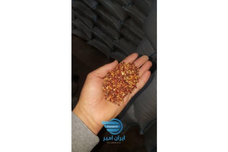 فروش عمده بذر جارو