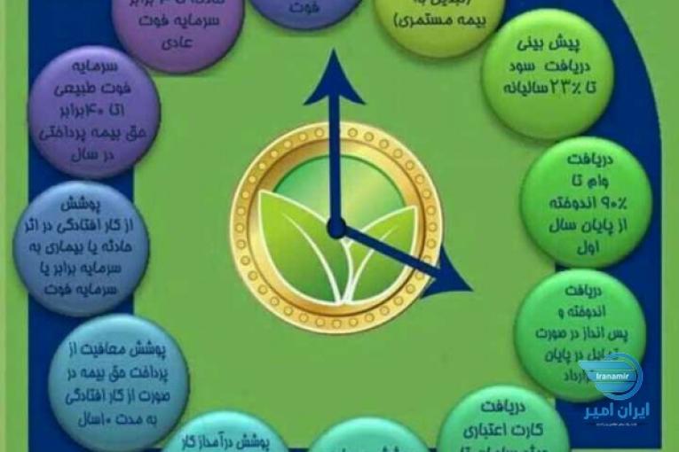 واقعا بیمه عمر نیستی؟ 