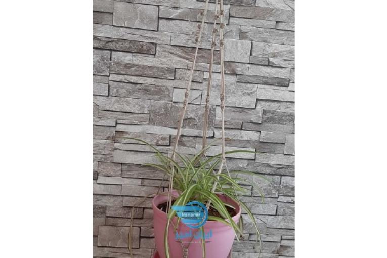 آویز گلدان