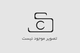 عسل طبیعی چه ویژگی هایی دارد؟