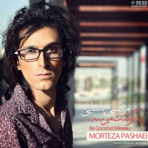 دانلود آهنگ مرتضی پاشایی به نام به گوشت میرسه