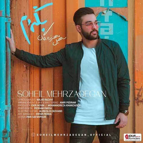 دانلود آهنگ جدید سهیل مهرزادگان به نام بگردم