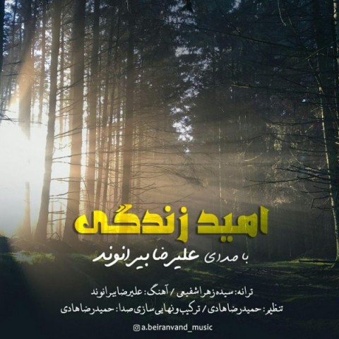 دانلود آهنگ جدید علیرضا بیرانوند به نام امید زندگی
