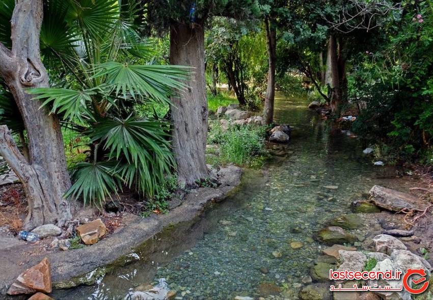 چشمه بلقیس