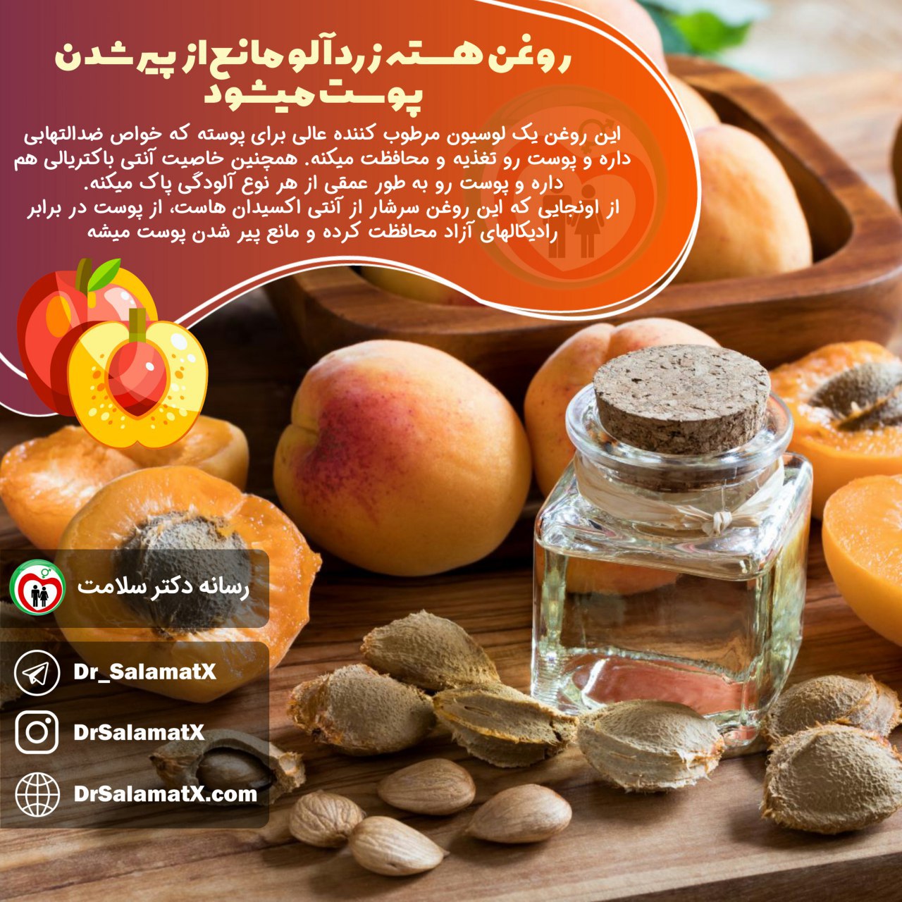 روغن هسته زرد آلو مانع از پیر شدن پوست می شود