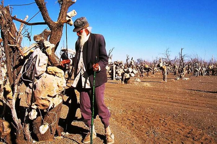 باغی هولناک با میوه‌های سنگی در سیرجان!