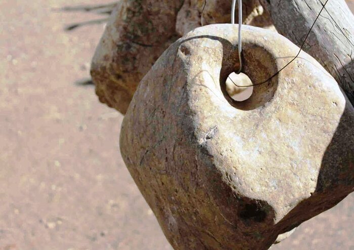 باغی هولناک با میوه‌های سنگی در سیرجان!