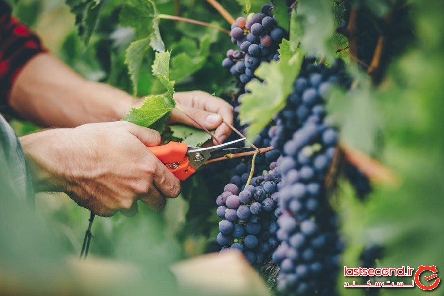 15 راه و رسم عجیب و خرافی برای کسب موفقیت در کشورهای مدرن دنیا!