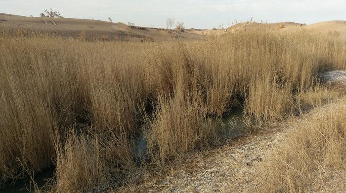 روستای مصر کجاست؟