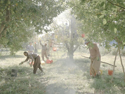 زندگی در اطراف دریاچه ارومیه از زاویه دید عکاس آلمانی +عکس