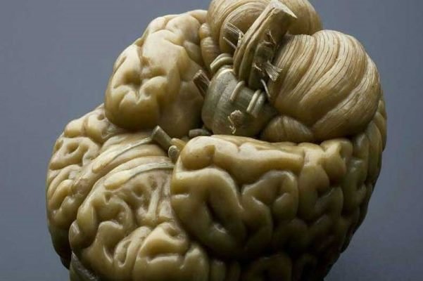 مسابقات دانش آموزی دانش مغز برگزار می شود