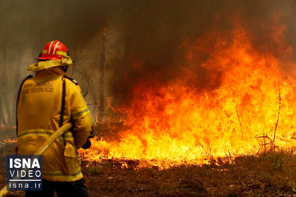 ویدئو / آتش‌سوزی‌های استرالیا، «فاجعه» می‌شود؟
