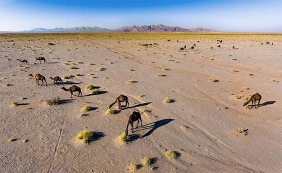 به آفریقای ایران سفر کنید